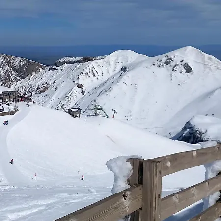 M. Апартаменты